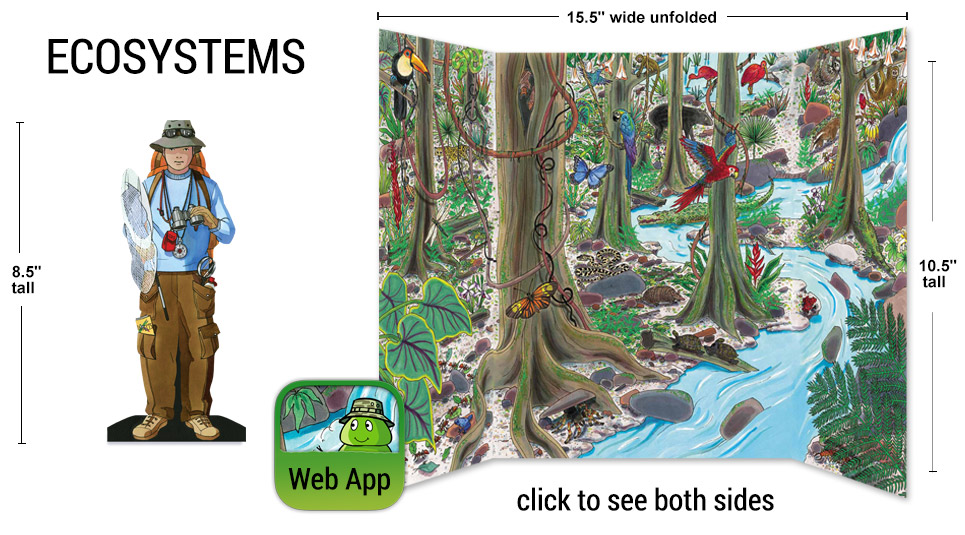 Jr Ecosystems